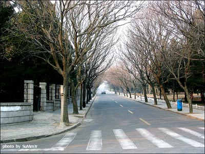 �ൺ��ɫ����ʰ��