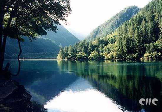 ɽ�ӽ�������Դ