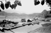 ����ı��µĺ齭