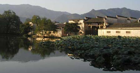 �Ի�������ĺ��