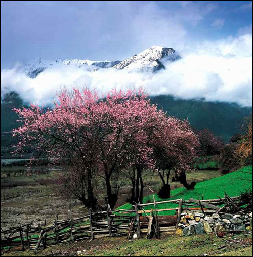 �ض��ϵĴ��졡�һ����˿�