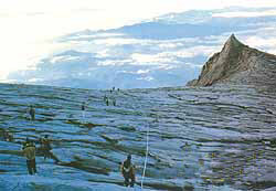 ����������Ѱ��̽�ܴ���Ȼ