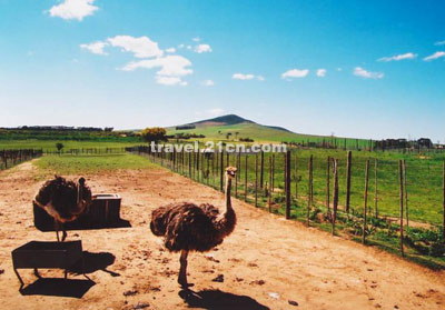 �Ϸ��롰�ǡ�����