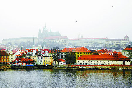 �������������鴿��֮��