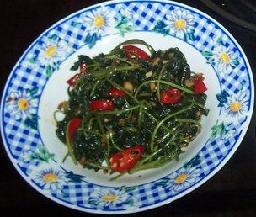 �ٳ�Ϻ����������Ҷ