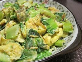 �Ͳ˳�����