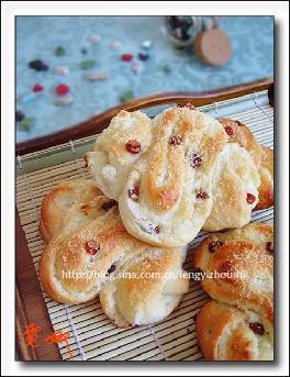 ���Ѹ�Ҭ�����