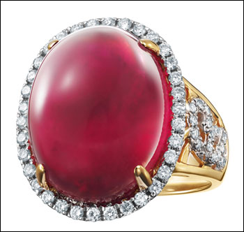 ����ķḻ���������������� ENZO2011�ʱ���Ʒ