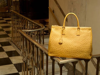 ���Ż��� �������Ƴ�ȫ�� Galleria �ִ�ϵ��