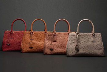 ���Ż��� �������Ƴ�ȫ�� Galleria �ִ�ϵ��