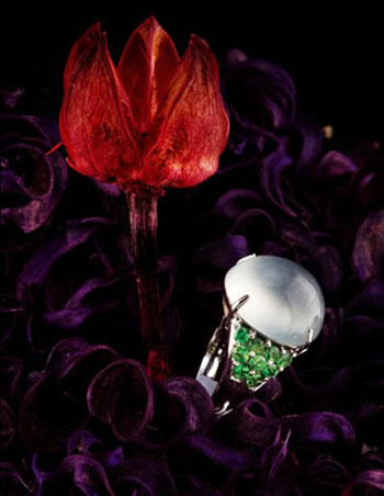 ���Դ�ﶬ�鱦������� ��ͳ��ʱ�в���