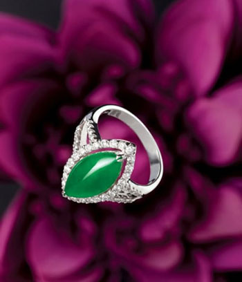 ���Դ�ﶬ�鱦������� ��ͳ��ʱ�в���