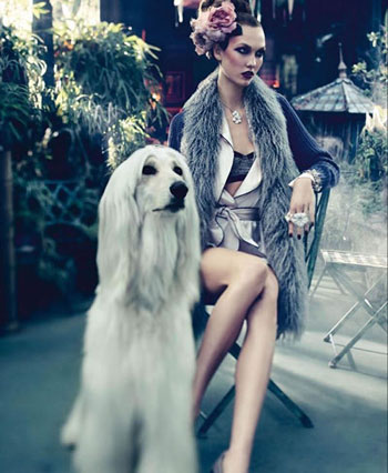 ������ģ�鱦��Ƭ ���������������