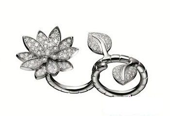 ʥ����Ʒ ����ű�����ϵ��