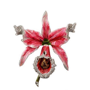 ��Ƥ�ɰ��������˵��������� ���ַ���鱦����