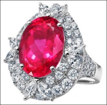 ENZO��ɫ��������