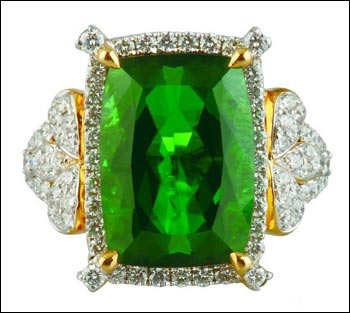 ENZO��ɫ��������