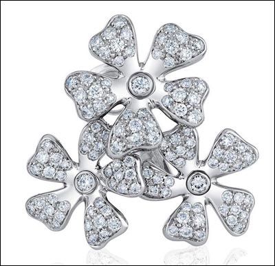 DE BEERS���ȶ�˹��ʥ��ѩ������������