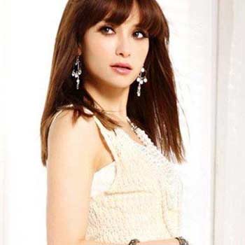 �ݻ��ֻ� ���ּ�����������