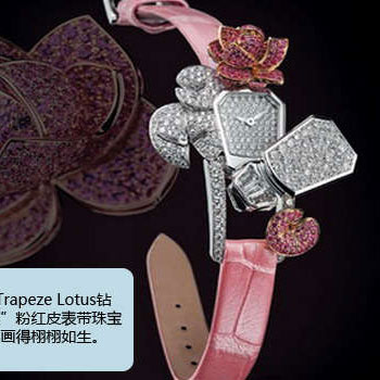 2012�鱦�����Ʒ ���ŵ�����̬��