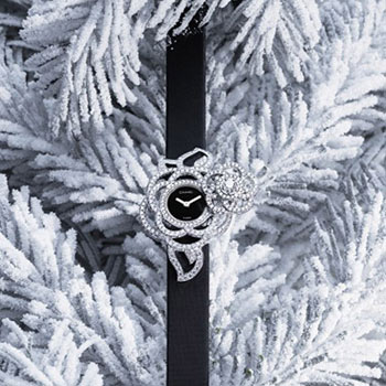 Chanelɽ�軨�ͺ�����֮Ů���̸�