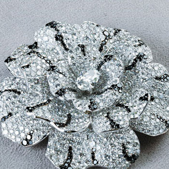 ���ζ�CHANEL�׸��߼��鱦ϵ�� ���ζ�Ůʿ�ֱ���ذ�