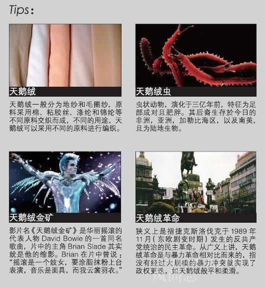 T台亮点无与伦比的天鹅绒!图