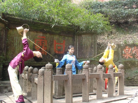 龙行十八式长嘴壶茶艺表演组图