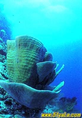 ͼ������10�������λ�֮��