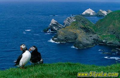 ͼ������10�������λ�֮��