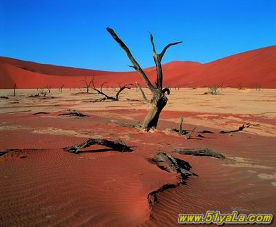 ͼ������10�������λ�֮��