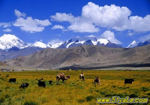 �й��Ĵ���Ȼ���ͼ