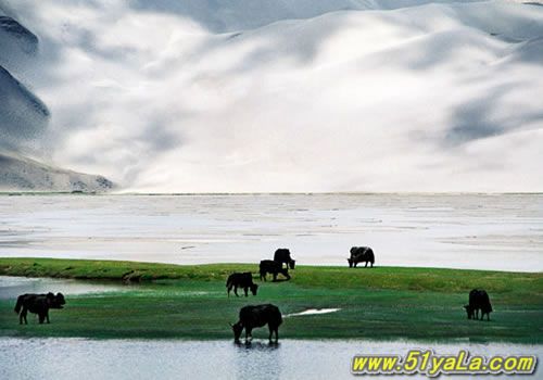 �й��Ĵ���Ȼ���ͼ