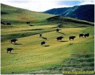 ����ʮ��챻��ʴ��ʥ����ͼ