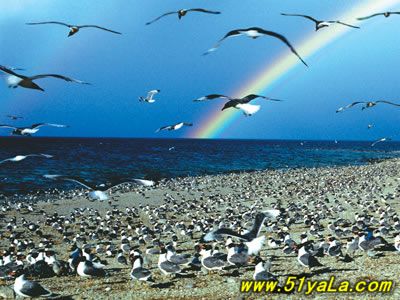 ���±���ʤ��ǿ���Ƽ�