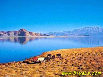 �����˼��ɾ������ε�