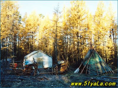 �й��������߸�����