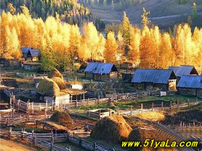 �й��������߸�����