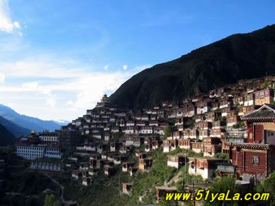 �й��������߸�����