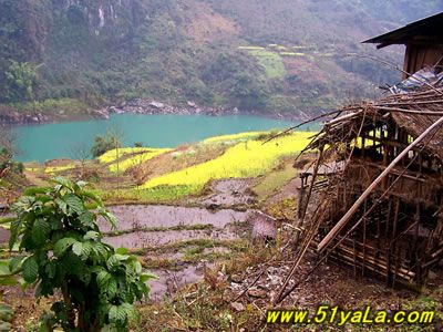 �й��������߸�����