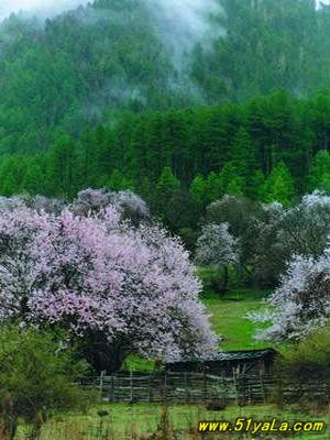 �й��������߸�����