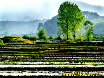 �Ŵ󼴽���ʧ�ĵط�