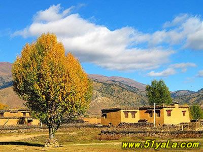 �Ŵ󼴽���ʧ�ĵط�