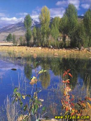 �Ŵ󼴽���ʧ�ĵط�