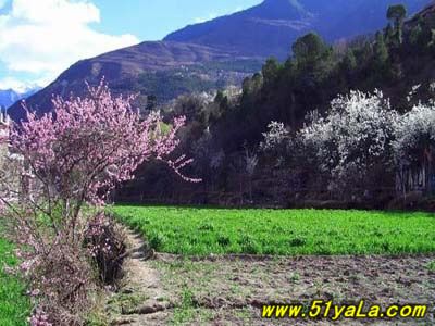 ������ȥ��10���й�С��