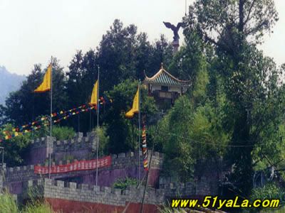 ʮ���ɫ�����ڹ㶫