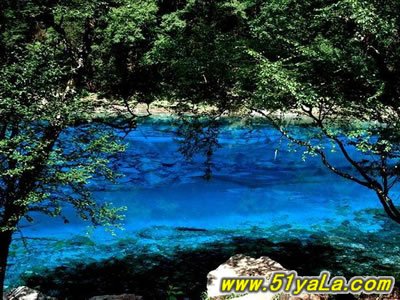 �й������ߵ�ʮ������ʥ��