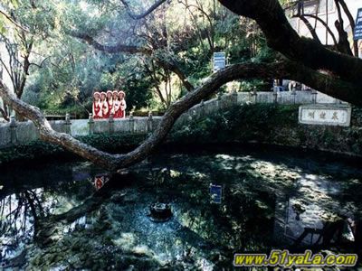 ���˽ڲ��ܴ������Ĵ�ʤ��ͼ