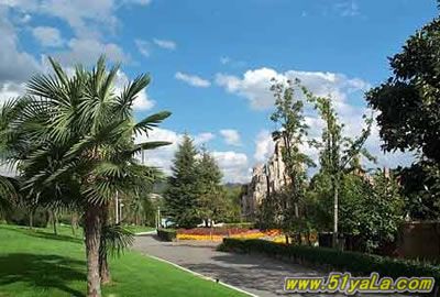 �й��ߴ�����������а�ͼ