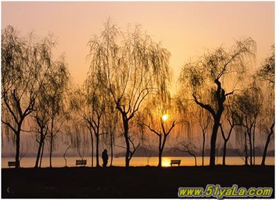 �й��ߴ�����������а�ͼ